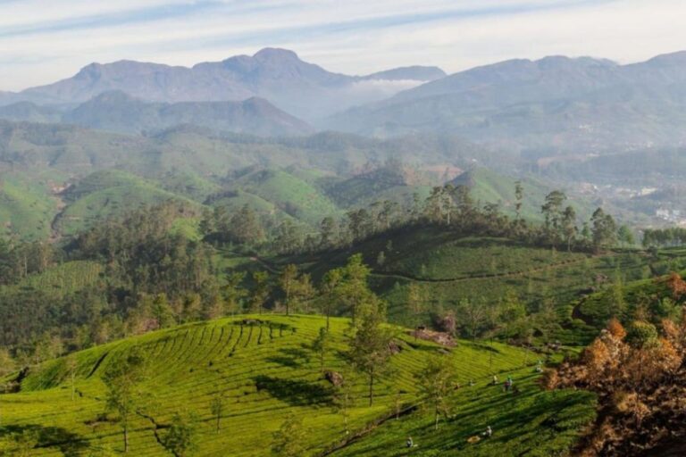anamudi kannan devan hills kerala 685561