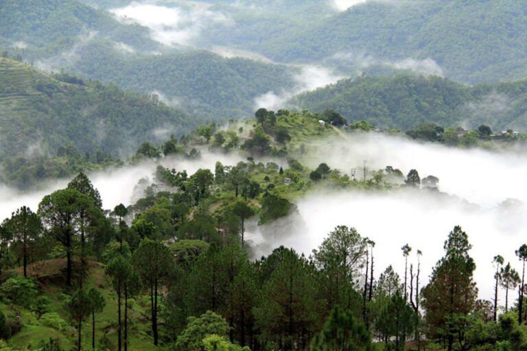 lansdowne uttarakhand 246155