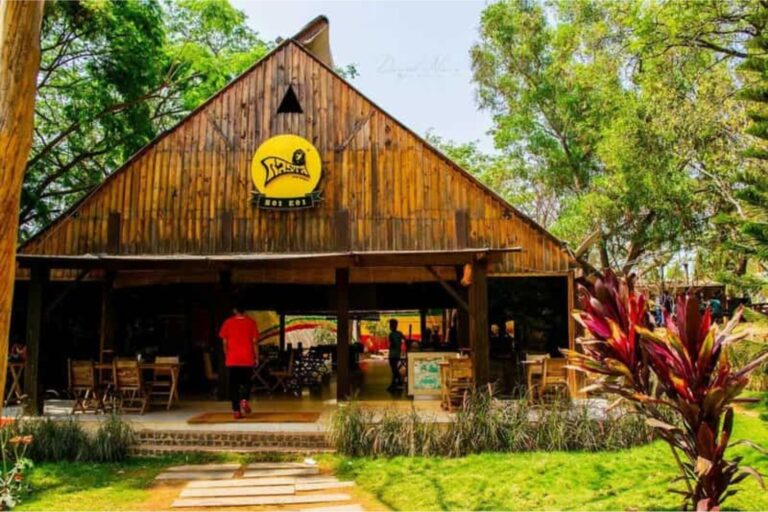 rasta cafe state highway 17 mayaganahalli karnataka