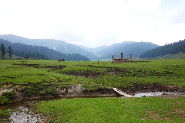 kupwara 193222 city in jammu and kashmir